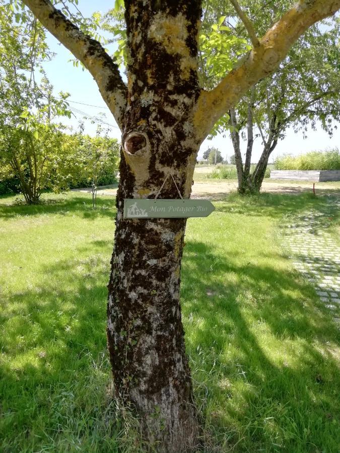 La Planche Princee, Chambres D'Hotes Ecolo Et Potager Bio, Sauna Les Rosiers Zewnętrze zdjęcie
